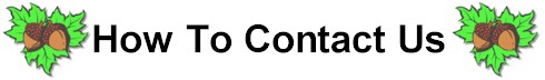 Contact Banner