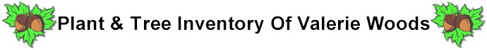 Inventory Banner
