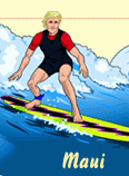 Maui Beach Surfer