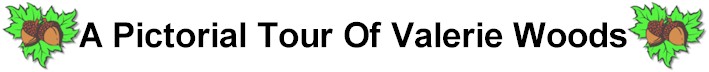 Tour Banner