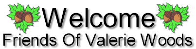 Welcome Banner